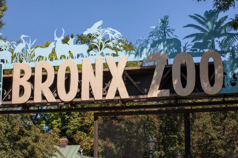 Mengenal Bronx Zoo, Kebun Binatang Terbesar di Amerika Serikat