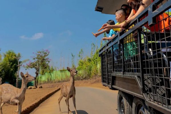 Wisata Edukasi di Batu Secret Zoo Pengalaman Tak Terlupakan Bersama Satwa