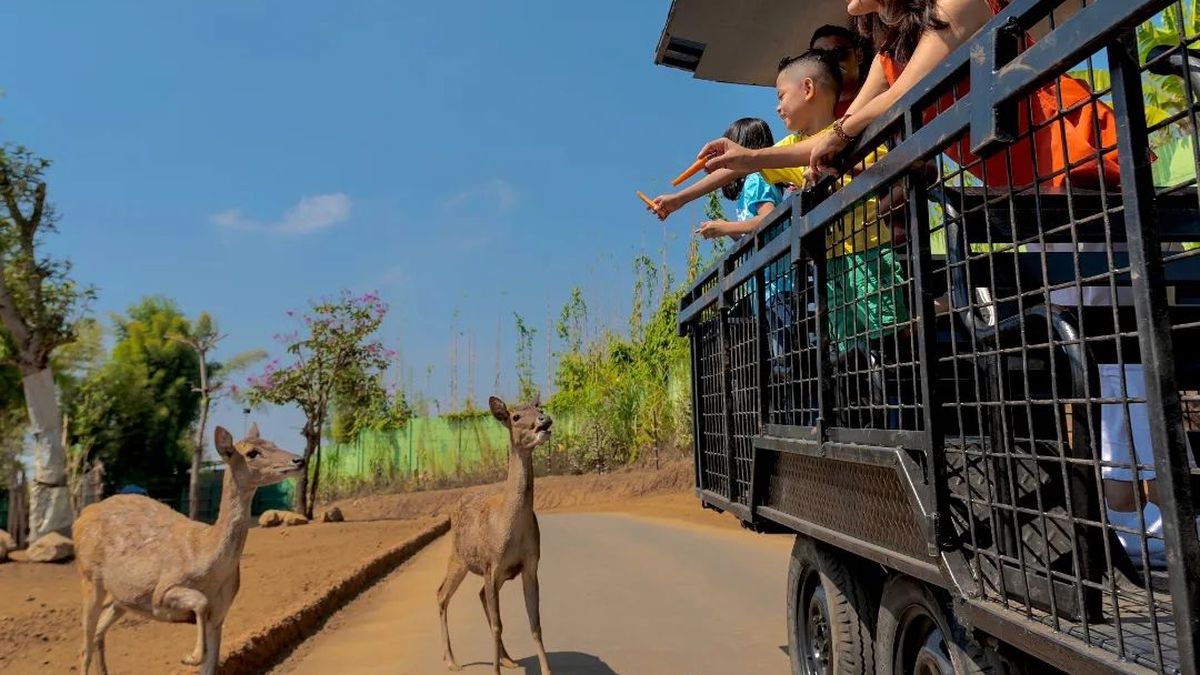 Wisata Edukasi di Batu Secret Zoo Pengalaman Tak Terlupakan Bersama Satwa