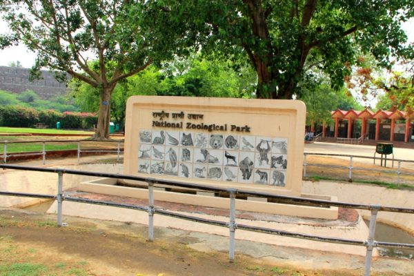 National Zoological Park, Permata Konservasi dan Edukasi di Washington, D.C.