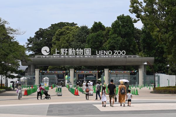 Ueno Zoo, Destinasi Ikonik Jepang untuk Pecinta Satwa